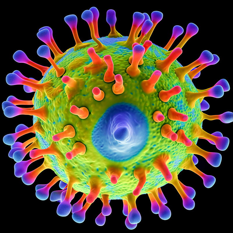 Hapiness Molecule HAP1