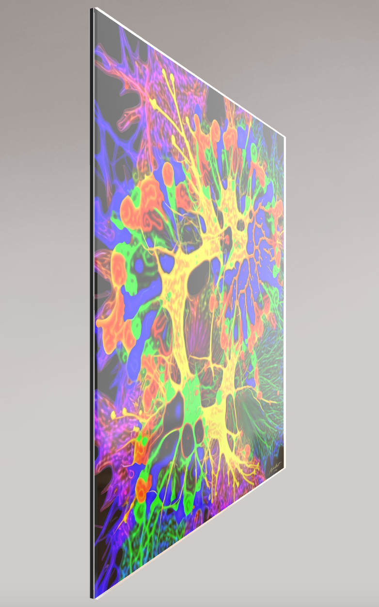 Neuroplasticity